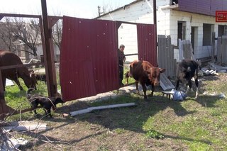 в Донецке жизнь продолжается