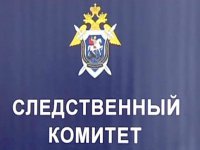 Следственный комитет РФ возбудил уголовное дело по фактам обстрела городов и насилия на Юго-Востоке